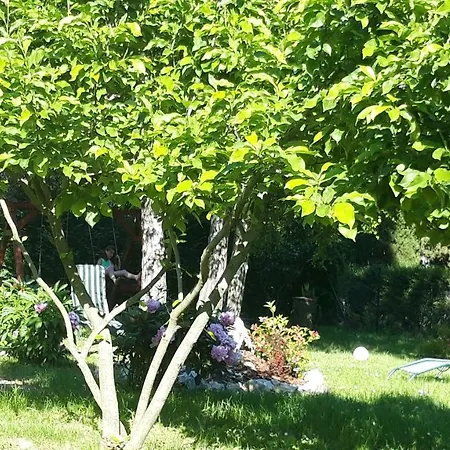 Iriski San Holiday home Irig
