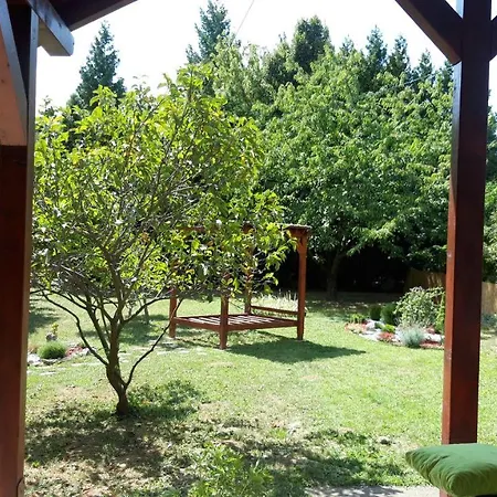 Iriski San *
