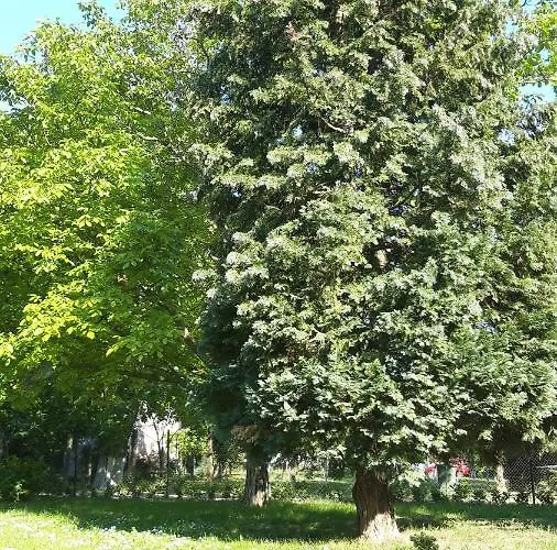 Holiday home Iriski San *